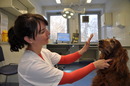01_Begutachtung_Drohreaktion